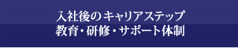 入社後のキャリアステップ
教育 ・ 研修 ・ サポート体制